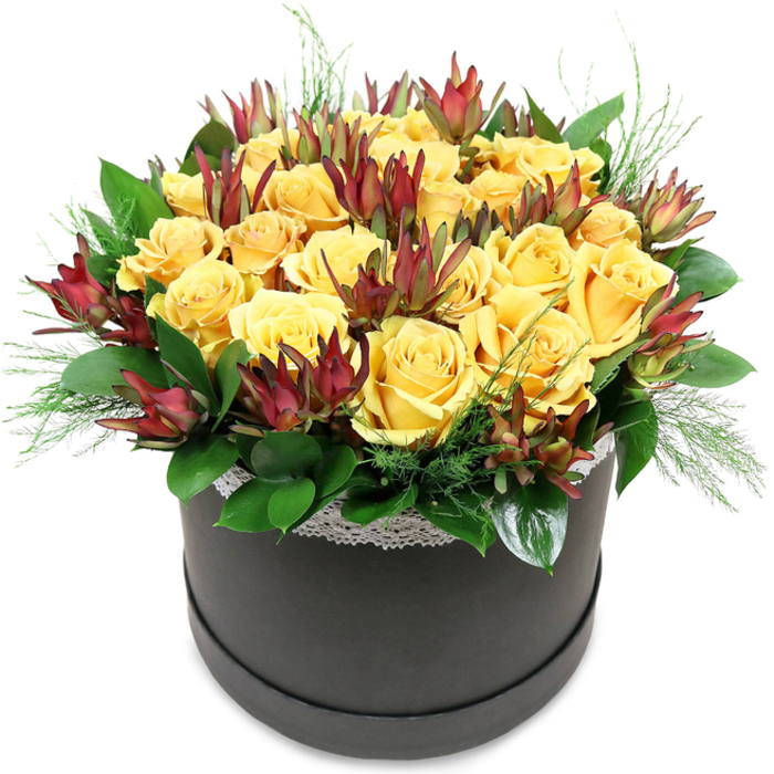 A contemporary floral piece sits proudly in a charcoal-black round hatbox, its strong, cylindrical shape providing a bold foundation for a lush dome of roses and Leucadendron that feels at once classic and modern. Along the upper rim of the hatbox runs a slim trim of white lace, delicate and gently textured, adding a sense of intimacy and charm, much like a quiet moment in a café just off Brent Cross station after a long day. Above this detail, the arrangement erupts into a tightly packed mound of yellow roses. Each rose is beautifully open, the petals soft and velvety to the eye, spiralling in from the centre with precise regularity. The colour is a saturated golden yellow, somewhere between butter and honey, lending the bouquet a welcoming, sunny presence. Tucked among the roses are deep red to burgundy Leucadendron stems, their elegant, lance-shaped bracts adding height and a slightly edgy, sculptural quality. Their darker tones stand in sophisticated contrast to the bright roses, like city lights against a late evening sky over Hendon. Supporting this floral canopy, a base of glossy green leaves curves around the interior of the hatbox, while more delicate, feathery sprigs of light green foliage emerge discreetly between blooms and over the box's edge, softening the outline and giving a feeling of gentle movement. The balanced play of smooth petals, clean lines, and intricate textures makes this arrangement particularly suited to modern apartments near the Brent Cross Shopping Centre, stylish dining tables in Golders Green, or smart office receptions. Its mood is warm, uplifting, and polished, perfect for congratulations, thank-you gestures, or simply turning an everyday corner of a Brent Cross home into a focal point of colour and life.