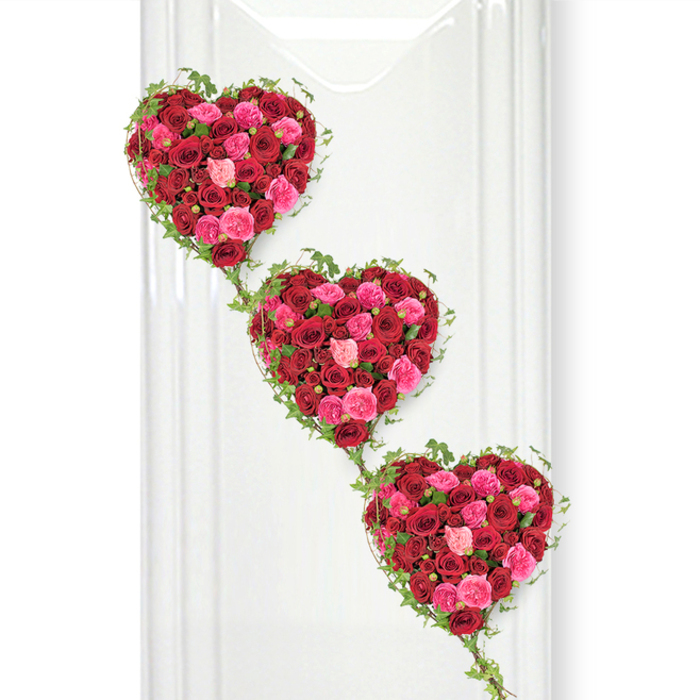Three exquisitely crafted hearts made entirely of roses appear in this image, aligned in a delicate diagonal flow that guides the eye from the upper left down to the lower right, set against a smooth white background. Each heart-shaped tribute is composed of densely packed rose heads, creating a rich, tactile surface of petals in shades of deep crimson, bright magenta-pink, and soft, romantic blush. The deeper reds evoke loyalty, reverence, and profound love, while the pinks introduce a sense of softness and cherished memory, making the arrangement especially suited to funerals, memorials, or services of thanksgiving. Surrounding each heart, slender vines of fresh ivy elegantly outline the curves, their small, glossy green leaves adding movement and an almost woodland charm to the piece. These ivy strands continue between the hearts, subtly binding them into one continuous design, ideal for symbolising family members held together by shared history or the enduring love of a community. The white background, reminiscent of a modern, light-filled chapel or crematorium space around Brent Cross, allows every tone of red and pink to stand in crisp contrast, while a faint shadow along the right edge hints at soft, diffused lighting. There is no clutter or distraction-just the pure focus on floral form and colour, reflecting the calm, respectful atmosphere of a farewell gathering. The tribute could easily be imagined gracing the front of a lectern or resting by the casket in a local service near the North Circular, lovingly prepared to honour a life that meant so much to those left behind.