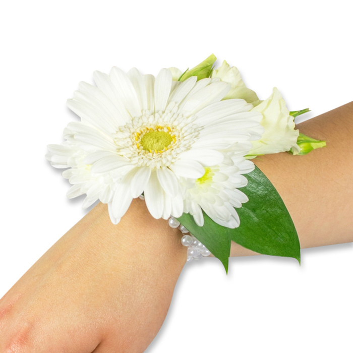 A striking white wrist corsage is photographed at a slight angle on a fair to medium forearm, the image stripped back to a clean white studio field so every petal and bead is crisply visible. The dominant element is a pristine white Gerbera daisy, abundant in soft, evenly spaced petals that open from a textured central disc of pale yellow-green, giving the bloom a luminous, tactile core. Nestled into the Gerbera's embrace are clusters of smaller white spray flowers-resembling miniature chrysanthemums or tidy lisianthus buds-that build a softer, cloud-like perimeter and add sculpted depth to the arrangement. Beneath and around the flowers, broad deep-green leaves, likely salal or Ruscus, form a structured backdrop: their glossy surfaces and strong veins set off the purity of the whites and lead the eye along the forearm. The ensemble is anchored to the wrist by an elegant multi-strand bracelet of small white pearls, the beads catching pinpricks of light and lending a faint vintage glamour to the composition. The photographic lighting highlights texture-the silky Gerbera petals, the fluff of the smaller blooms, the satiny sheen of foliage-while the overall mood remains calm, celebratory and refined. This classic accessory suits a range of formal moments-bridal parties, proms, graduations or anniversary events-and is perfectly at home in Brent Cross gatherings, perhaps paired with a simple gown for a ceremony at a nearby church or a celebratory dinner near Brent Cross Shopping Centre.