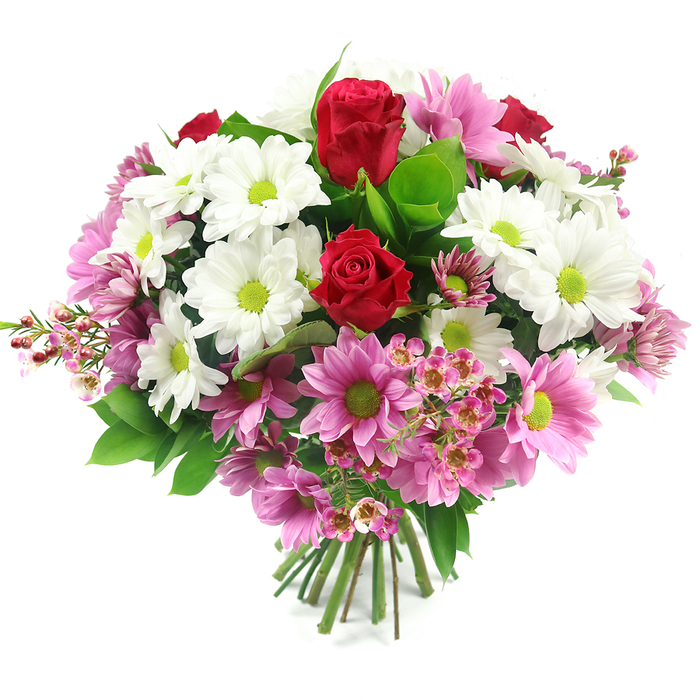 Set against a pristine white background, this hand-tied bouquet offers a vibrant, meticulously balanced display that feels perfectly at home in the stylish flats and family houses around Brent Cross. At its centre, several deep red roses draw the eye, their petals tightly furled and velvety, standing as classic symbols of romance, appreciation, or simply a meaningful gesture to someone special. These roses are embraced by a generous scattering of white daisy-like chrysanthemums, each bloom crisp and open, with a bright lime-green centre that gives the arrangement a fresh, almost zesty lift, much like the first green shoots you notice on a walk towards Brent Cross Shopping Centre in early spring. Interspersed between the whites are numerous pink-to-magenta daisy chrysanthemums, their petals radiating from the same vivid green centres, building a lively rhythm of colour from soft blush to richer rose tones. Fine sprays of pale pink waxflowers are thread through the composition, particularly noticeable along the outer edges; their tiny, star-shaped blossoms and slender stems lend a gentle, airy texture, adding depth without overwhelming the central blooms. Broad, glossy dark green leaves, likely salal or similar foliage, create a rich, verdant base, while lighter green touches peek through, helping each petal stand out against the clean background. The stems beneath are neatly gathered, trimmed, and tied, confirming this as a professional, gift-ready hand-tied arrangement, ideal for placing straight into a vase in a home near Hendon, Golders Green, or around the North Circular. The bouquet's overall impression is one of joyful elegance, suitable for birthdays, anniversaries, Mother's Day, or simply to bring a sense of natural beauty into a Brent Cross living space.