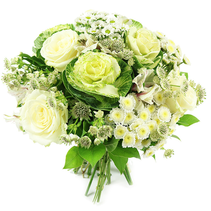 A beautifully balanced hand-tied bouquet in white, cream, and green rests against a pure white background, its rounded silhouette reminiscent of something lovingly crafted for a family gathering in a Brent Cross home. At the forefront are several creamy white roses, each one fully open with gently ruffled petals curving outwards, creating soft, cloud-like forms that suggest a delicate, familiar scent drifting through a quiet sitting room off Hendon Way. Embraced by these roses are ornamental kale rosettes-also known as flowering cabbage-whose bold, textured leaves form concentric circles. The outer foliage is a rich, deep green, gradually blending into tightly layered centers in pale chartreuse and yellow-green, bringing striking contrast and a touch of modern floristry. Scattered throughout the bouquet are dainty white chrysanthemums and small daisy-like blossoms, their fine petals radiating from central disks in soft yellow or yellow-green, giving a gentle, cheerful rhythm to the design. Between these blooms, there are subtle hints of star-shaped, greenish-white filler flowers resembling astrantia, which add intricate detail and an almost wild, meadow-like character. Delicate white alstroemeria with slender petals and faint, painterly markings weave through the arrangement, barely peeking out between the larger flowers. The entire composition is framed by lush greenery in a variety of shapes and shades, from broad, glossy leaves that provide structure to lighter, more feathery foliage that softens the edges. At the base, the stems are carefully gathered and tied, confirming this as a hand-tied bouquet ready for a cherished vase. The overall mood is one of calm elegance and quiet celebration, ideal for wedding décor, milestone birthdays, new homes, or dignified sympathy flowers delivered throughout Brent Cross, Childs Hill, and the surrounding North London areas.