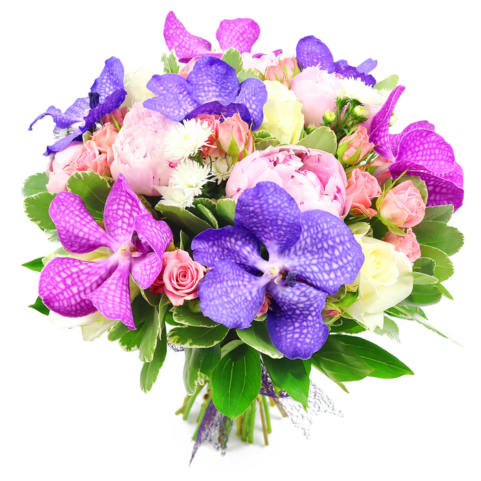 In this photograph, a hand-tied bouquet is presented on a clean, white backdrop, its rounded silhouette and dense composition immediately evoking the feel of a premium florist's creation. At the heart of the design, several large pink peonies are caught at their peak, with wide, open faces and countless overlapping petals that create a soft, cloud-like texture and a deeply romantic mood. Threaded harmoniously through these blooms are Vanda orchids in dramatic hues of deep purple, violet, and rich magenta, each orchid showing distinctive, netted veining across its broad petals, adding an exotic sophistication to the arrangement. Nestling among these statement flowers are clusters of spray roses in blush pink, gentle peach, and creamy white; some are still rounded and closed, others partly open, showing their swirling centres and contributing layers of interest and charm. Small white filler flowers, reminiscent of delicate chrysanthemums or asters, are tucked between the larger blossoms, their fine petals catching the bright, even light and bringing a subtle sparkle to the design. Surrounding all of this is an ample border of lush green foliage, with glossy leaves and tiered greens that arc outward, grounding the bouquet and enhancing the vibrancy of the pink and purple tones. The natural stems are gathered closely at the bottom and secured with a purple ribbon, suggesting a gift-ready arrangement. The overall impression is of thoughtful craftsmanship and modern romance, a bouquet that would feel equally at home delivered to a stylish flat near Brent Cross shopping centre or brought to a family celebration in nearby Temple Fortune or Dollis Hill.