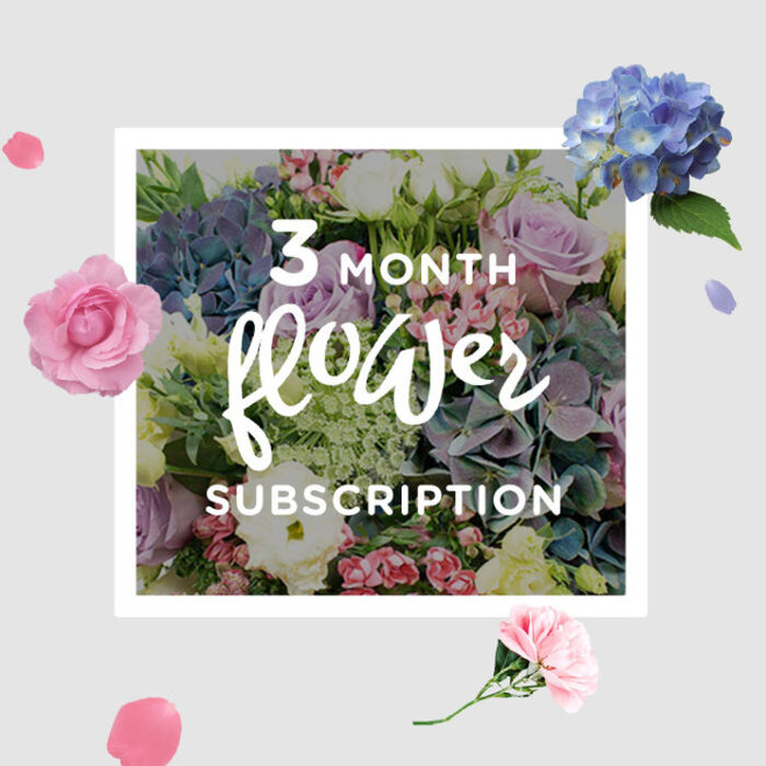 This bouquet, part of a three-month flower subscription, is displayed in soft, natural light that feels like it could be streaming through a window in a Brent Cross townhouse late on a quiet afternoon. Rounded clusters of blue hydrangeas sit firmly at the centre, creating a sculpted base of layered petals that move from pale, powdery blue to slightly deeper hues, adding a subtle sense of depth and calm. Around them, roses in shades of blush, rose-pink, and muted lilac open in gradual spirals, with some blossoms fully expanded and others in semi-open stages, giving the arrangement an organic, evolving character. Threaded through the roses, lisianthus stems rise with an easy, graceful curve, bearing ruffled blooms and delicate buds that introduce lightness and a touch of countryside charm, reminiscent of a garden edging the quieter streets near Brent Cross Station. The bouquet is held together by an abundance of clean, fresh greenery, with leaves arranged to frame the pastel flowers, bringing definition and a cool, grounding green contrast. The lighting reveals every detail: the slight sheen on hydrangea petals, the velvety softness of the rose surfaces, and the intricate frills of the lisianthus, all set against a muted background that allows the colours to glow gently. Overall, the composition feels tranquil and reassuring rather than bold, suggesting flowers chosen to soothe and uplift daily spaces. It embodies the ongoing pleasure of a subscription-each month, a newly crafted bouquet in similar soft blues, pinks, and lilacs arriving in Brent Cross homes, ready to add a quiet sense of celebration to everyday routines and special evenings alike.