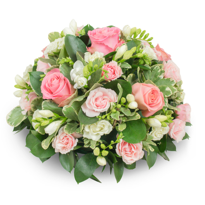 A meticulously crafted, symmetrical dome of soft pink roses and crisp white freesia, photographed against a stark white backdrop to emphasise colour and texture. The focal roses vary from fully expanded, velvety blooms with layered petals to smaller spray roses that offer delicate gradations of pink, while clusters of white freesia - some opened to reveal pale yellow stamens, others still elegant buds - introduce vertical accents and a clean, fragrant brightness. Interspersed are tiny white filler blooms and a generous framework of foliage: broad, dark green leaves (reminiscent of ruscus or salal) create a rich base, while cream-edged variegated leaves (likely pittosporum or euonymus) add luminous highlights and a refined, garden-like contrast. The arrangement is dense, with stems concealed to sustain a compact, cushion-like profile that casts a soft shadow on the white surface, giving subtle depth without distraction. The overall mood is one of composed consolation - an arrangement that reads as respectful and understated, ideal for a memorial, funeral tribute, or as a consoling gift to a family in mourning. As Brent Cross Flowers, we imagine this piece being delivered with quiet care across Brent Cross and neighbouring Hendon or Colindale addresses, arriving with the fresh scent of freesia and the comforting presence of roses - a tender, skilled composition by a local florist who understands the need for dignity and gentle beauty at sensitive times.
