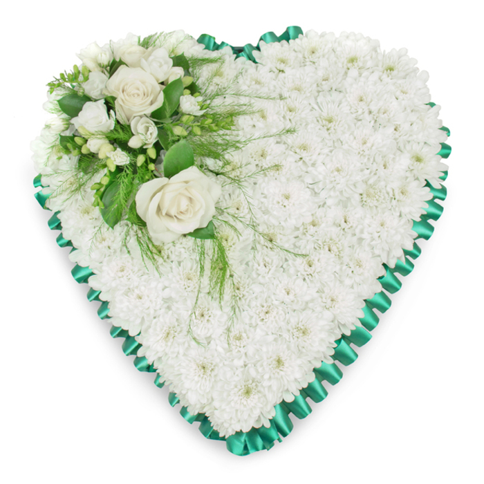 This image shows a refined heart-shaped funeral tribute, crafted with the kind of care and precision that Brent Cross Flowers is known for throughout the local community. The heart itself is filled edge to edge with white chrysanthemums, densely packed so that the blooms touch one another and form a smooth yet textured surface. Each small flower head contributes to a soft, cushion-like expanse, and together they create a field of pure white, evoking snow, clouds, and the peaceful silence of reflection. Encircling this floral cushion is a striking emerald green satin ribbon, carefully pleated to form a ruffled, scalloped edge. The ribbon rises slightly above the level of the flowers, its lustrous finish catching and reflecting light. This contrast between the glossy ribbon and the velvety chrysanthemum petals adds depth and structure, clearly defining the heart shape and lending a traditional, formal character that suits funeral and memorial services in Brent Cross and the surrounding North West London area. In the upper left curve of the heart, a focal spray introduces variety and emotional emphasis. Two large, creamy white roses sit at the centre of this cluster, fully opened and layered with petals that spiral inward, suggesting devotion and enduring affection. Around the roses, smaller white blooms-likely freesias or a similar light, trumpet-shaped flower-create a delicate halo, some in full bloom and others still tightly closed. Interwoven among these blossoms is an assortment of greenery, including broad, shiny leaves and slender, feathery fronds that arc gracefully over the white cushion. A few strands drift gently across the chrysanthemum base, breaking its uniformity in a natural, garden-inspired way. With its serene palette and balanced design, this heart-shaped tribute offers a touching, visually soothing expression of condolence, suitable for graveside tributes, chapel displays, or memorial gatherings throughout Brent Cross.