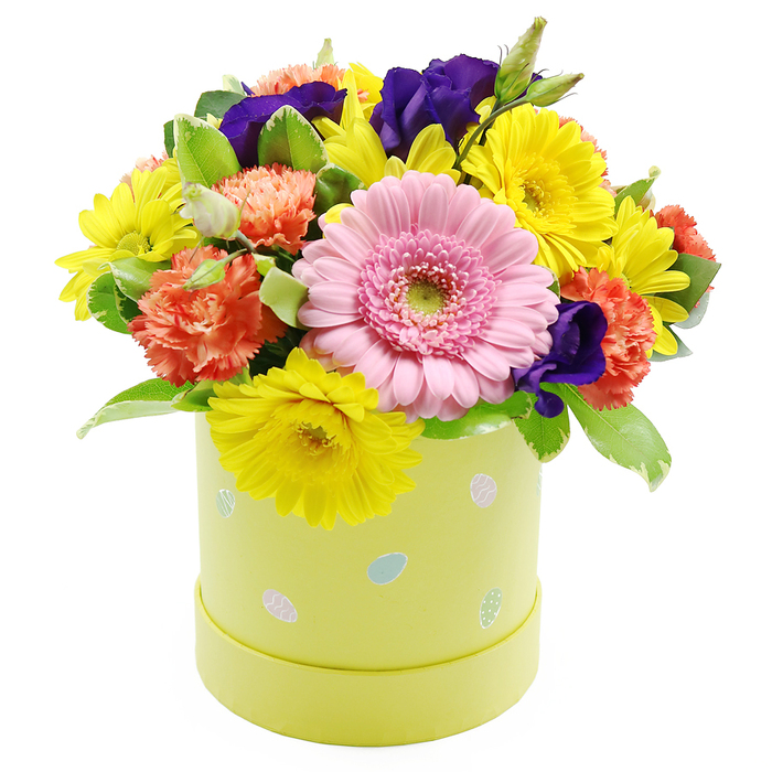 A bright, densely packed Easter hatbox arrangement takes centre stage against a white background, its colours and forms reminiscent of a fresh spring day around Brent Cross. The bouquet is crafted in a rounded, dome-like profile, each bloom placed close to the next to create a feeling of generosity and lushness, with no awkward gaps. A large, soft pink gerbera daisy sits proudly at the front and centre, its finely layered petals radiating symmetrically from a pale green disc, providing a gentle yet confident focal point. Surrounding this main bloom is an array of sunny yellow chrysanthemums, their numerous, delicate petals forming tight, daisy-like heads that add brightness and a sense of uncomplicated happiness, much like the first daffodils along local streets. Coral-orange carnations weave between these yellow and pink flowers, their ruffled, almost feathery petals giving the arrangement a rich texture and a cosy warmth, as if wrapping the bouquet in a soft scarf of colour. Deep violet and purple lisianthus blooms are tucked throughout the design, their smooth, slightly cupped petals adding a layer of visual depth and sophistication, balancing the lighter, more playful tones. Fresh green foliage fans out around and between the flowers, including some leaves with subtle pale variegated edges that add gentle contrast and help to define the overall shape. All of these elements are held within a cylindrical hatbox-style container in a soft pastel lime yellow-green, whose surface is scattered with small Easter egg illustrations in light blue, pink, and white, some decorated with fine dots and stripes that lend a whimsical, seasonal touch. The white backdrop sets off every hue clearly, highlighting the expertise and care behind the design. Perfect for Easter gatherings, spring birthdays, or as a seasonal gift delivered by Brent Cross Flowers, this arrangement carries a mood of renewal, warmth, and festive cheer.