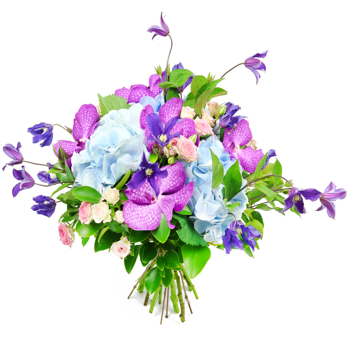 This luxurious bouquet, photographed against a clean white background, brings together cool blues, rich purples, and soft pinks in a way that feels perfectly suited to a stylish Brent Cross apartment or family home. At its centre, large, rounded clusters of hydrangea in gentle sky blue form a plush, textural heart, their multitude of delicate petals overlapping to create the impression of soft, billowing clouds. Threaded through this serene base, orchids in vivid fuchsia and deep royal purple introduce a bold, exotic energy, their velvety petals veined and speckled like intricate fabric, catching the light and drawing attention wherever the eye falls. From within and above the main cluster, several stems of clematis stretch and arc, their star-shaped and bell-like blooms in rich purple giving the bouquet height, movement, and a hint of untamed garden romance, as though they had been cut from a climbing vine near Brent Cross Park. Nestled quietly between these statement flowers, miniature spray roses in blush pink and creamy white add moments of softness and subtle fragrance, their tight rosettes and half-open blossoms speaking of affection, gratitude, and gentle celebration. A generous collar of greenery-broad, glossy leaves interspersed with finer, more delicate foliage-frames the entire design, providing depth, contrast, and a sense of natural abundance. At the base, the stems are carefully aligned and securely tied, revealing the practiced hand of the florist and making the bouquet ready to place straight into a vase for same-day delivery across Brent Cross, Hendon, and nearby north London areas. Illuminated by soft, even light that accentuates the colours without harshness, this arrangement radiates elegance, warmth, and a quietly confident joy, ideal for birthdays, anniversaries, congratulations, or simply brightening a loved one's day.