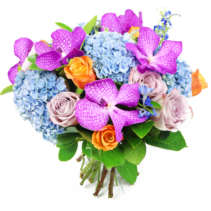 Captured against a clean white backdrop, this hand-tied bouquet showcases a sophisticated blend of purple, blue, orange, and soft lavender tones, reminiscent of a carefully curated window display along the main routes through Brent Cross. Large Vanda orchids immediately catch the eye with their rich magenta-purple petals, each one marked by intricate white speckles in a reticulated pattern that creates depth and movement. They are spaced in such a way that their exotic form appears at different levels within the arrangement, creating visual rhythm. Beneath and around them, lush clusters of powder-blue hydrangeas gather into a rounded, domed base. Each hydrangea head comprises dozens of tiny, four-petalled florets that overlap to form a dense yet airy mass, giving the bouquet a pillow-soft foundation that contrasts beautifully with the structured orchids. Interlaced among these cool blues are roses in two distinct palettes: velvety orange roses, whose unfolding petals bring warmth and cheerful brightness, and soft, dusty lavender or mauve roses, whose subtler hues lend an air of refinement and quiet romance. Tall, slender sprays of deep blue accent flowers, similar to delphiniums, emerge between the larger blooms, adding height and a slightly wild garden touch. Surrounding it all is a collar of deep green foliage; the leaves are broad, smooth, and glossy, catching the light and framing the composition like a natural border. At the base, the cut stems are visible and tightly bound together, confirming the bouquet is freshly hand-tied and ready for delivery. It's the kind of striking arrangement a Brent Cross florist might prepare for an elegant dinner party, a milestone celebration, or a special gift to a home near Hendon, Temple Fortune, or along Finchley Road.