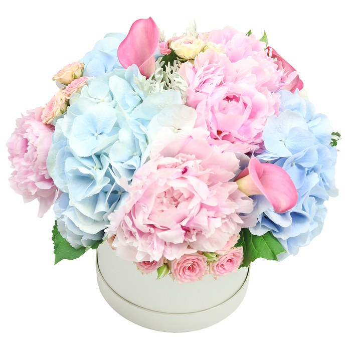 A stunning and luxurious floral arrangement, presented in an elegant light grey, matte round hatbox, is positioned centrally against a clean white background. The bouquet is densely packed and beautifully composed, featuring a harmonious blend of pastel pinks and soft baby blues, creating a voluminous and romantic display. The most prominent flowers are large, fluffy pink peonies, their ruffled petals ranging from blush to deeper rose, catching the light with a subtle satin sheen. Interspersed among them are clusters of voluminous baby blue hydrangeas, their intricate florets adding airiness and a cool contrast to the warmth of the pinks. Two vibrant pink calla lilies rise above the others in sculptural trumpet shapes, lending dramatic height. Nestled near the rim are clusters of tightly budded, soft pink spray roses, introducing texture and a classic touch. Subtle hints of silvery foliage, perhaps dusty miller, along with fresh green leaves peek through, providing depth and a natural feel to the arrangement.
The overall aesthetic exudes refined elegance and gentle beauty, designed to suit a wide range of celebrations-from weddings and anniversaries to birthdays and Mother's Day. It also pairs well with luxury event decor or sophisticated home styling. Created by Brent Cross Flowers for clients in Brent Cross and beyond, this piece can be delivered across the area, bringing timeless romance to a dining table, a reception, or a living room display. Whether sent as a generous centerpiece or a heartfelt gift, it communicates warmth, care, and a quiet confidence in the joy of the moment.