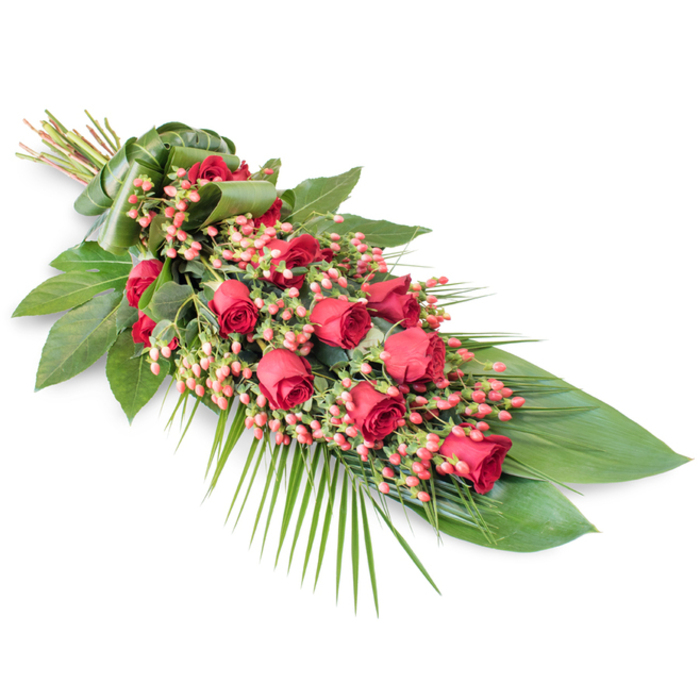 An elongated red rose funeral spray is carefully arranged on a pristine white background, its flowing diagonal line and rich colours reminiscent of a dignified tribute prepared for a Brent Cross memorial. The design begins at the upper left with a tight gathering of stems, meticulously bound and concealed by a sleek wrap of folded green leaf, then widens and deepens as it stretches towards the lower right. Along this path, classic red roses unfold in a gentle rhythm: some buds remain tightly wrapped, others have opened just enough to reveal velvety inner petals, and a few fuller blooms anchor the centre with richer depth and presence. Interspersed among the roses, small clusters of pinkish-red Hypericum berries sit like delicate beads, their rounded forms and slightly lighter hue providing a soft counterpoint to the strong crimson. Supporting the flowers is a foundation of glossy dark green foliage, likely Salal or Ruscus, layered generously so that each leaf overlaps the next, creating a continuous, polished surface of green that frames the blooms. Towards the lower right, long, feathery palm fronds arc outward, their fine leaflets splaying in gentle curves that extend the spray into a graceful, tapering silhouette. The simple white backdrop throws every detail into sharp relief: the sheen of the leaves, the matte softness of the roses, the gentle glint of the berries. The arrangement feels calm, solemn, and deeply respectful, a traditional choice for placing beside a coffin, at the front of a church, or on a stand during a funeral or cremation service around Brent Cross, Cricklewood, or along the North Circular, offering silent, heartfelt support to grieving families.