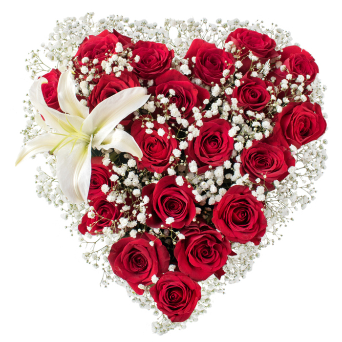 Rendered against an immaculate white field, this heart-shaped bouquet reads as a deliberate love letter in floral form. A dense congregation of deep crimson roses defines the silhouette; their plush, layered petals move from compact buds to fully opened flowers, producing subtle shifts in tone and shadow that create depth and a near-tactile softness. Tiny white clusters of Gypsophila nestle throughout the roses, their star-like florets forming a misty counterpoint that lightens the visual weight and creates a delicate halo around the heart. Placed thoughtfully in the upper left curve, a single white lily opens with graceful confidence - its broad, luminous petals show the faintest cream near the centre and frame yellow stamens that punctuate the composition with a whisper of warmth. The plain white background focuses attention on the floral textures and the precise craftsmanship of the design: each stem appears chosen for shape and stage, each bloom placed to support the heart's rhythmic curve. I can almost feel the velvety touch of rose petals and the slightly waxy coolness of the lily, and I imagine the bouquet carrying a soft perfume that is at once sumptuous and clean. This arrangement suits romantic celebrations, anniversary milestones, or an elegant tribute, and it reads especially well when hand-delivered to homes and small venues across Brent Cross, Cricklewood and Golders Green. The overall effect is polished and intimate, a floral statement that balances passion with refined serenity.