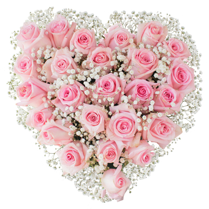 A meticulously formed heart made almost entirely of soft pastel pink roses dominates the image, each bloom placed to create a lush, velvety surface that reads as a single, tender emblem of affection. Approximately two to three dozen roses - their colours ranging from barely-there blush to a slightly richer pink toward the centre - show varied stages of opening; some are compact, others gently unfurling, and together they create a living tapestry of spiralled petals. Tiny white gypsophila stems are woven through and around the roses, their airy clusters providing a light contrast that both softens and sharpens the heart's outline against the pure white backdrop. The clean, bright lighting accentuates texture and depth, catching the petal edges and the fine stems of the baby's breath so the arrangement appears fresh and tactile. The scent, if one could imagine it, would be quietly floral and sweet - the familiar fragrance of roses recently cut and arranged with steady hands. From a florist's viewpoint, the balance of dense rose placement with pockets of gypsophila demonstrates technical care: symmetry without stiffness, richness without heaviness. This style is often chosen for romantic gestures, wedding displays, or solemn remembrances where visual grace is paramount. For those ordering from Brent Cross Flowers, the design evokes familiar local scenes - the shopping centre's bustling exchanges, the quieter lanes toward Hendon, or small wedding receptions near the reservoir - and reads as a classic, heartfelt statement of love and tenderness made tangible in petals.