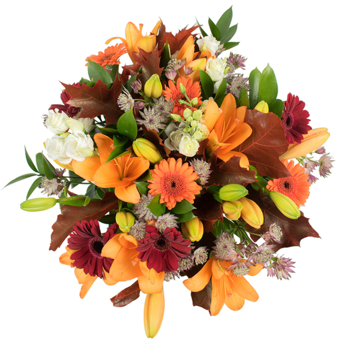 Captured from a slightly elevated angle against a pristine white field, this autumnal bouquet is a study in warm contrast and tactile detail, the sort of arrangement we craft at Brent Cross Flowers for clients wanting seasonal charm. At its heart sit several fully open orange Asiatic lilies, their elegant, trumpet-shaped petals unfurling with a satiny surface that reflects the bright, clean lighting. Intermingled are vibrant Gerbera daisies-pumpkin orange and deep burgundy-red-each with a pronounced dark eye that anchors the composition and suggests a hand-placed, thoughtful rhythm. Creamy white lisianthus punctuate the warmer hues with soft, ruffled petals that feel like a whisper against the bolder blooms. Fine, star-like Astrantia in muted purple and lavender provides a delicate, almost filigree texture that lifts the eye through the bouquet's layers. Many tight green and pale orange lily buds peek out, promising the bouquet will evolve over days, while fresh green foliage and slender stems give structure and a lively contrast to richer tones. Strategically placed large, lobed oak-like leaves in reddish-brown and mahogany reinforce the harvest theme, their curled edges and visible veins evoking walks through nearby Brent Reservoir or the turning leaves at Clitterhouse Playing Fields. The tightly packed arrangement appears incredibly fresh and lush, radiating warmth and abundant celebration-an ideal centrepiece for autumn entertaining or a thoughtful gift that carries the mellow, comforting spirit of late-year blooms and neighbourhood gatherings.
