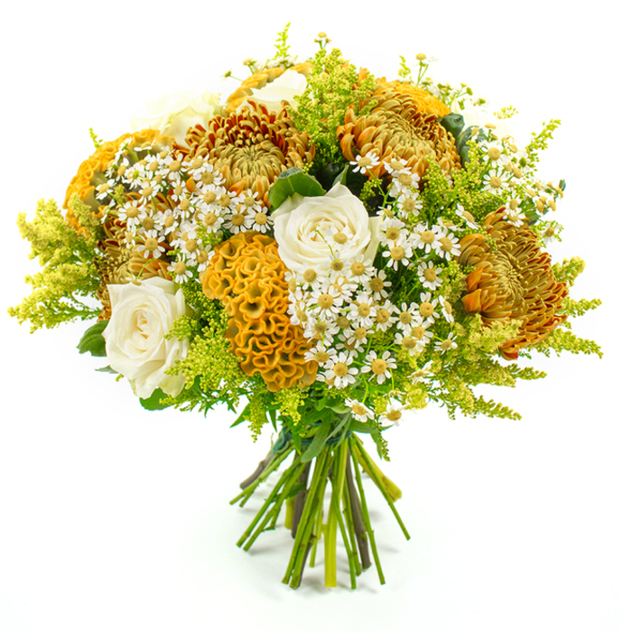 Set against a plain white background, this lush, hand-tied bouquet appears as a carefully composed celebration of autumnal colour and texture, much like the changing trees near Brent Cross as summer fades. The arrangement has a rounded, full silhouette, dominated by several large chrysanthemums in shades of golden yellow, coppery orange, and deep amber. Each chrysanthemum is densely packed with fine, spiky petals that curve and overlap, creating intricate layers that invite a closer look. Tucked between these bold blooms, creamy white roses bring a soothing counterbalance, their satiny petals curling softly inwards to form classic, spiralled hearts that evoke a sense of calm and tenderness. Interspersed among the roses and chrysanthemums are vibrant yellow-orange celosia, the distinctive cockscomb flowers forming velvety, brain-like waves and ridges that add sculptural interest and a velvety touch to the design. Lightening the mood, clusters of tiny daisy-like blossoms with white petals and sunny yellow centres are scattered throughout, suggesting wild meadow flowers and introducing an informal, just-picked charm. All of this is framed by feathery lime-green solidago and a variety of lush green foliage, which fill the bouquet with airy volume and provide a fresh, cool contrast to the warm flower tones. The stems are visible at the bottom, neatly aligned and bound together with green florist's tape, showing the bouquet's hand-crafted, professional construction. Bright, even lighting ensures every petal edge and leaf texture is clearly defined, enhancing the sense of depth. The overall impression is one of cosy elegance and seasonal abundance, ideal for autumn celebrations, thank-you gifts, or same-day delivery around Brent Cross to bring warmth into homes, offices, and gatherings.