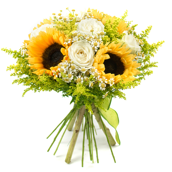 A vibrant sunflower and white rose bouquet is captured in a bright, studio-style image, the clean white background making each petal, leaf, and stem stand out as if in high relief. Three striking sunflowers form the visual anchor at the centre, their large, deep brown centres surrounded by vivid yellow petals that open wide, almost like miniature suns, setting a lively, uplifting tone. Woven between these sunny faces are creamy white roses, their soft, layered petals arranged in elegant spirals that speak of classic romance and careful floristry. Dotted amongst the larger flowers are clusters of tiny white, daisy-like blossoms, each with a neat yellow core, bringing intricate texture and a gentle, almost playful charm, like wildflowers you might imagine scattered beyond the roads surrounding Brent Cross. The bouquet is generously filled with lime-green, feathery foliage similar to solidago, its fine stems branching into clouds of small buds that blur the edges of the arrangement and provide a lush, verdant backdrop to the brighter blooms. The stems, visible below the dense flower heads, are aligned and trimmed to an even length, then tied firmly with a lime-green ribbon that hugs the base, its ends trailing in an easy, relaxed manner. This hand-tied composition is rounded and full, giving the impression of abundance without strict formality, as though freshly gathered yet artfully styled by an experienced local florist. The overall impression is one of warmth, joy, and fresh beginnings, making it an ideal bouquet for birthdays, thank yous, or to add a welcoming burst of colour to a Brent Cross hallway, kitchen table, or office desk.