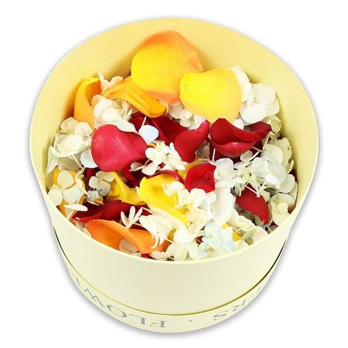 The image presents a single, round hatbox against a spotless white backdrop, its soft cream tone and simple design bringing an understated elegance to the composition. The cylindrical box, likely made from sturdy paperboard, bears a faint inscription around the rim-letters that suggest the word FLOWERS without drawing focus away from the contents. Viewed from slightly above, the box appears generously filled, the petals heaped in a gentle dome that rises just above the edge. Deep crimson rose petals dominate this mound, their velvety surfaces and irregular curves giving a sense of softness and depth, as if they could cushion a fingertip. Among the reds, warm yellow petals and muted peach-orange accents introduce an uplifting glow, calling to mind the soft, golden tones of sunset near Brent Cross's leafy residential streets. Threaded sensitively through this warm spectrum are quite a number of dried white and pale blue hydrangea florets. Their tiny, papery petals gather in clusters, adding a delicate, almost lace-like texture that contrasts beautifully with the broader rose petals. The interplay between bold colour and airy lightness creates a soothing, contemplative mood. This curated blend evokes the feeling of a tribute prepared with care: suitable for scattering at a graveside, decorating a remembrance table in a family home, or adding a natural, dignified detail to a funeral reception near Brent Cross. The clean, white space surrounding the box acts almost like silence around a soft spoken word, heightening the sense of calm and allowing the colours and textures to tell a quiet story of love, memory, and gentleness.