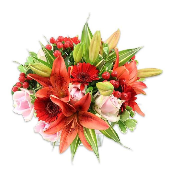 A densely packed bouquet is photographed on a bright white background to highlight its rich palette and layered textures. Large, fiery orange-red lilies take centre stage, their recurving petals and faint speckling suggesting Asiatic varieties; some blossoms are fully open to reveal dark anthers, while others remain as poised buds. Interspersed are vivid, deep red gerbera daisies whose many slender petals radiate from darker central disks, adding visual structure and a lively rhythm to the surface. Soft blush pink roses appear throughout in varied stages, from tightly wound buds to more open, cup-like blooms that soften the composition and introduce a classic romantic note. Small clusters of glossy red hypericum berries punctuate the arrangement, contributing a tactile, festive accent and a jewel-like sheen. The florist has surrounded these focal flowers with abundant greenery - long, pointed lily foliage, broader green leaves and some variegated elements with pale stripes - which provides a rich, layered backdrop and supports the bouquet's rounded shape. Textures are contrasted for sensory interest: the papery strength of lily petals against the smooth velvet of roses and the crisp gloss of berries and leaves. Bathed in soft, even light, the bouquet conveys warmth, passion and careful craftsmanship, ideal for marking anniversaries, birthdays or as a cheery delivery to someone near Brent Cross Shopping Centre, Fryent Country Park or along Cricklewood Broadway. The piece reads as professionally arranged and intentionally balanced, offering both immediate visual impact and the promise of lasting freshness when chosen for special moments.