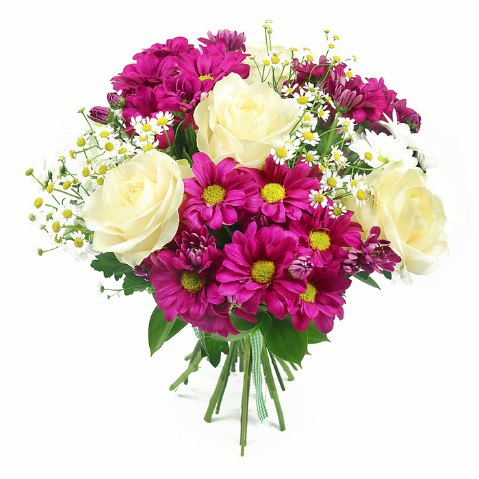 A hand-crafted bouquet of mixed flowers stands out vividly against a smooth, white studio background, its rounded silhouette and layered colours giving it an immediate sense of fullness. At its heart, several creamy white to pale yellow roses are fully open, their soft, velvety petals curling inwards in elegant spirals that speak of classic romance and thoughtful design. Around and between these roses, abundant fuchsia-magenta chrysanthemums create a lively ring of colour, their daisy-shaped blooms with bright yellow-green centres adding both texture and a playful brightness. Interspersed discreetly are smaller chrysanthemum buds in a deeper purple-pink shade, hinting at blooms still to come and giving the arrangement a natural, slightly informal charm. Fine, branching stems of tiny white daisy-like flowers, reminiscent of chamomile or feverfew, are scattered throughout the bouquet; each petite bloom, with its vivid yellow centre, helps to soften the bold pink tones and introduces a feeling of lightness, like a breeze across a meadow near Clitterhouse Playing Fields. A mix of rich green foliage surrounds and supports the blossoms, with glossy rose leaves and broader, textured chrysanthemum greens creating a verdant base that frames the brighter petals. The stems are neatly gathered and secured with a green and white gingham ribbon, tied snugly at the bottom, reinforcing the sense of a hand-tied bouquet crafted by a skilled Brent Cross florist, ready for local delivery. The lighting is bright and even, enhancing the subtle gradations in the rose petals and the crisp edges of the daisy petals, while soft shadows lend just enough depth to make the bouquet feel fresh, dimensional, and perfect for celebrations or heartfelt everyday gifting.