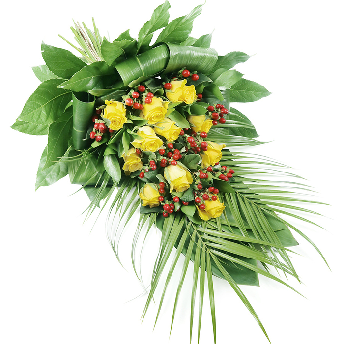 In this image, a sophisticated yellow rose and berry funeral spray is presented on a stark white background, emphasising the clarity of its colours and the precision of its design. At the core of the arrangement lies a series of bright yellow roses, perhaps fifteen or slightly more, spaced carefully to create a rhythm along the length of the spray. Each rose displays a different stage of bloom; some show tight, rounded buds with smooth outer petals, while others open into fuller, layered blossoms that reveal subtle shifts in tone from deep golden centres to softer, paler edges. The roses are interspersed with modest clusters of red Hypericum berries, their small, spherical forms and glossy surfaces bringing a tactile, jewel-like quality to the arrangement. The flowers sit within a structured frame of greenery. At the upper left, bold, dark green leaves are folded, wrapped, and overlapped so they form a firm, sculptural backing, like a leaf fan cradling the blooms. Throughout the middle, varied foliage adds texture without overwhelming the focal flowers. Extending from the lower right, several long palm fronds and slender leaves stretch outward, their fine, pointed tips overlapping in a graceful cascade that gives the spray its distinctive tapered shape. The composition is designed to lie flat, with the stems neatly tied and aligned, making it suitable for placement on a coffin or at a memorial in Brent Cross or nearby Golders Green. Soft, even lighting enhances the richness of the greens and the brightness of the yellow roses, while the deep red berries quietly add a note of solemnity and respect, resulting in an arrangement that feels both serene and deeply personal.