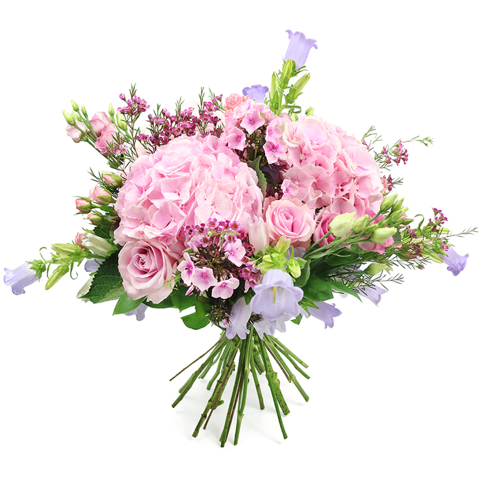 A lavish bouquet of soft pink and lavender blooms is captured against a simple white background, emphasizing every curve and texture as if displayed in a bright Brent Cross living room. Dominating the composition are two lush, round clusters of blush pink hydrangeas, their abundant petals overlapping and ruffling to create a pillowy, cloud-like appearance that immediately draws the eye. Threaded among these are several light pink roses, some fully open with delicate spirals at their centers, their edges slightly curved like satin, while others remain in elegant bud form, adding depth, variety, and a sense of unfolding time. From between the larger flowers, slender stems of bell-shaped blossoms, reminiscent of campanula, stretch upward and outward in shades of pastel lavender and muted purple, bringing a light, whimsical vertical line to the otherwise rounded shape. Accenting the design are small, tightly clustered filler flowers in deep fuchsia and rich dark pink, tucked into the spaces between hydrangea and rose, lending both colour contrast and intricate detail. Fresh foliage, including lively green leaves and slim stems bearing unopened buds, frames the pastel palette with a vivid, natural edge, as if the bouquet had been carried in from a nearby garden off Hendon Way. At the bottom, the stems are cleanly gathered and hand-tied, cut to an even length that makes the design ready to slip straight into a waiting vase. This rounded, abundant bouquet radiates elegance, joy, and heartfelt emotion, ideal for sending love, congratulations, or thanks to homes and offices around Brent Cross, Golders Green, and the surrounding North London communities.