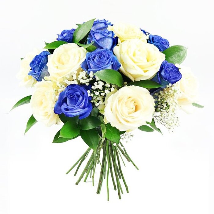 The photograph showcases a hand-tied bouquet designed with sympathy in mind, its carefully balanced colours and textures standing out against a stark white backdrop. The bouquet is rounded and full, composed of a harmonious blend of deep sapphire-blue roses and smooth cream roses that together create an elegant and contemporary look. Each blue rose appears plush and velvety, with petals that curl inwards at the center and gently ripple at the outer edges, giving depth and richness to the design. In contrast, the cream roses feel calming and soft, their pale tones and tidy spirals suggesting gentleness and comfort. Throughout the arrangement, clusters of tiny white baby's breath are woven between the roses, lending a feathery, cloud-like appearance that lightens the eye and breaks up the solid colour blocks. Dark green foliage forms a supporting layer beneath and between the flowers, with leaves that look firm and fresh, as if they have just been conditioned in a Brent Cross Flowers studio ready for same-day delivery around the local area. The stems are neatly aligned and visible beneath the floral dome, showcasing the bouquet's hand-tied construction and making it easy to imagine placing it on a memorial table or beside a framed photograph. Gentle, soft lighting from above and slightly to one side highlights the textures of the petals and leaves, throwing the slightest of shadows to give dimension while keeping the overall effect calm and composed. The mood this arrangement conveys is one of dignified remembrance and quiet solace, fitting for expressing condolences, attending a funeral, or sending thoughtful sympathy to families in and around Brent Cross.