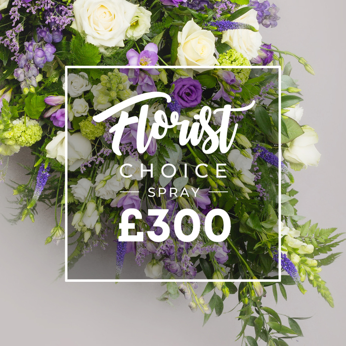 A beautifully balanced funeral spray in a palette of purples, whites, and greens unfolds in a generous, cascading form. Ivory white roses anchor the arrangement, surrounded by soft white lisianthus and delicate freesias. Rich purple lisianthus and lavender-hued blooms provide regal depth, while tall spires of veronica or delphinium lend vertical rhythm. Sprigs of lavender limonium float like lilac mist, and the verdant backdrop of ferns and broad green leaves adds texture and volume. The overall silhouette is full and elongated, designed to lie gracefully on a coffin or stand as a dignified memorial tribute. Against a soft grey background, a semi-transparent white overlay frames the center, with Florist Choice Special above the price ?300 in bold white type. The piece speaks of careful craft, a refined blend of open blooms and sculpted greenery that conveys calm and remembrance. It is a local London creation serving Brent Cross, Cricklewood, and Golders Green, with the promise of reliable delivery across NW4. This keeps the tone respectful and timeless, a tribute made with sensitive hands and a deep knowledge of how flowers carry emotion in times of goodbye.
Designed to offer solace, the spray combines the gentleness of white blooms with the drama of purples, balanced by fresh greens that give the arrangement a natural, garden-like feeling in a Brent Cross setting.