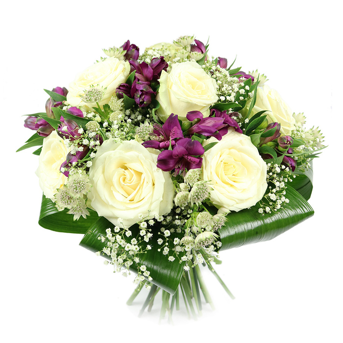 This image presents a beautifully balanced floral arrangement photographed against a stark white background, giving it a crisp, contemporary feel. At the heart of the bouquet, large creamy white roses dominate, each rose at a perfect stage of bloom with its petals fully open yet still holding a gentle curl. Their spiralling centres and subtly shaded ivory tones convey grace and refinement, making them the natural focal point of the design. Woven among the roses, clusters of deep purple and rich magenta alstroemeria add a dramatic contrast. The alstroemeria's trumpet-shaped flowers, arranged at slightly different heights and angles, display intricate markings on the petals, contributing to a sense of layered colour and texture. Interlacing through the main blooms, airy sprays of white baby's breath create a soft, cloud-like effect, their countless tiny flowers catching the light and smoothing transitions between the bolder elements. Here and there, pale green-white astrantia appear, their distinctive starry bracts and small, tufted centres bringing a whisper of wildflower character, as if the bouquet had been inspired by the natural planting seen around pathways and residential gardens close to Brent Cross. Surrounding the entire arrangement, broad, glossy aspidistra leaves wrap firmly around the base. They are carefully folded into a structured collar of deep, polished green, which frames the central flowers and helps maintain the bouquet's rounded, compact form. The stems emerge neatly beneath, trimmed to an even length and bound together in a classic hand-tied style, the craftsmanship clearly visible even in this simple studio setting. With its serene palette and refined structure, the bouquet is well-suited for local deliveries to homes and offices in Brent Cross-ideal for birthdays, anniversaries, thank-you gestures, or occasions when a touch of quiet elegance is desired.