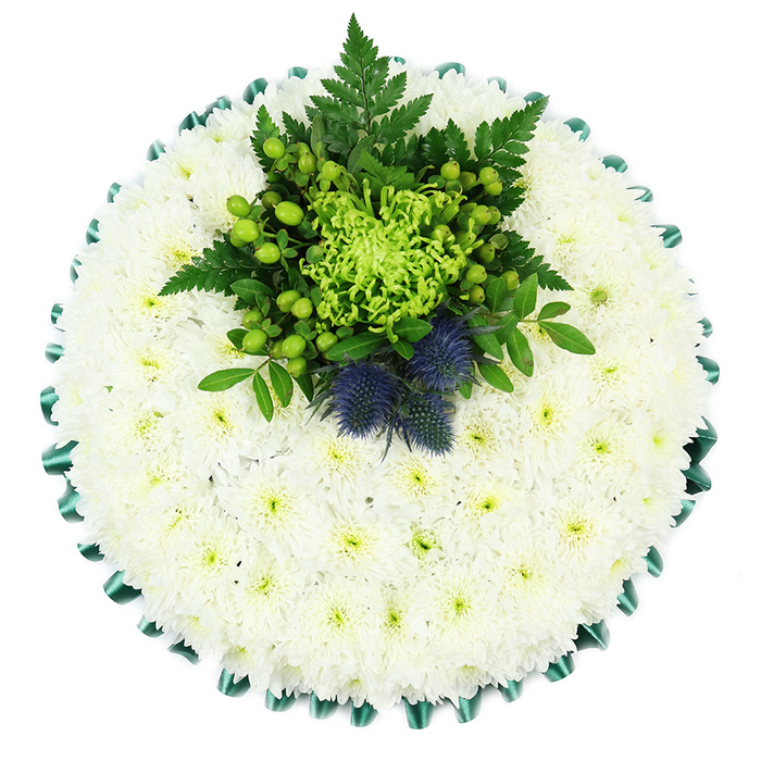 A beautifully composed round funeral wreath, more like a floral cushion than a traditional open wreath, is depicted in a clear overhead view on a stark white background. The main body of the tribute is made up of countless white chrysanthemums, each small bloom precisely placed so that together they form a dense, unbroken field of petals. Their clean white colour and soft texture create a feeling of stillness and comfort, while the faint greenish centres add a subtle glow that keeps the design from looking flat. Encircling the entire piece is a band of emerald green satin ribbon, expertly pleated into scalloped folds. The ribbon's rich colour and gentle shine provide a strong yet elegant frame, giving the arrangement a sense of structure and ceremony. Towards the top centre, a striking focal cluster emerges from the white base. A lime-green spider chrysanthemum, with its long, narrow petals curling and stretching outward, forms the heart of this cluster, drawing the gaze with its unusual shape and vivid colour. Around it, bright green Hypericum berries gather in tight, glossy bunches, interwoven with dark green fern fronds and leafy foliage that arch and fan out, adding depth, movement, and a touch of wildness. Rising from this lush green pocket are two Scottish thistles, their rounded, spiky forms rendered in deep blue and violet shades, instantly recognisable and rich with symbolic meaning. The cool, restrained palette of whites, greens, and blues communicates serenity, remembrance, and gentle strength. This is the sort of considered design a family might order from Brent Cross Flowers for a funeral at Golders Green Crematorium or a memorial service around Hendon or Finchley Road, a carefully crafted floral tribute that speaks quietly but powerfully of love and respect.