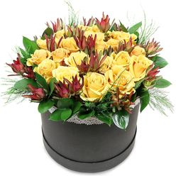 This image shows a luxurious floral hatbox design that pairs classic roses with contemporary textures, perfectly suited to the vibrant energy around Brent Cross. A round, matte black hatbox forms the base, its understated finish allowing the flowers above to take centre stage. Around its top edge, a narrow strip of delicate white lace introduces a soft, vintage note that feels almost like the trim of a favourite dress worn to a family celebration. Above this lace, a dense cushion of yellow roses swells in a rounded dome. The roses are in full bloom, their petals rich and velvety, arranged in carefully spaced layers that catch the light and make the flowers appear almost three-dimensional. The yellow is warm and optimistic, like the glow of shop windows along the North Circular on a bright afternoon. Interspersed among the roses are accents of Leucadendron 'Safari Sunset', their wine-red and russet bracts tapering to subtle green bases. These sculptural forms create vertical accents and introduce a sophisticated colour contrast, complementing rather than competing with the roses' softness. A collar of deep green foliage circles the base, the leaves broad and polished, interwoven with finer, needle-like or ferny foliage that peeks out between the blooms and just over the edge of the hatbox. This mix of textures gives the design both structure and airiness. The overall mood is refined yet warm, ideal for gifting to someone moving into a new flat near Brent Cross tube, marking a milestone birthday, or brightening a home office overlooking the busy roads nearby. The arrangement speaks of careful craftsmanship and fresh, high-quality blooms, ready for flower delivery across the local area.