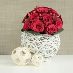 A low, rounded bouquet of rich red roses is captured at the centre of the frame, presented on a spotless white surface that enhances its dramatic colour, as though styled for a wedding reception near Brent Cross. The roses are packed together in a smooth dome, so close that scarcely any gaps remain between them. Each bloom offers its own moment of beauty, from tight, bud-like forms to fully open blossoms whose petals curl gently backwards, revealing spiralling hearts of deep crimson. Nestled discreetly among them are clusters of dark red hypericum berries, their small, bead-like shapes catching the light with a subtle gloss. These berries alter the rhythm of the arrangement, adding little notes of texture and a slightly different red tone. At the base, a fringe of dark green foliage barely peeks out, more hinted at than fully seen, giving a soft, natural frame that grounds the vivid crown of blooms. The entire bouquet sits within a white spherical vase constructed from slender, painted twigs woven in an open, basket-like pattern. The airy structure of the vase lets the neutral background filter through, making it seem almost weightless and echoing the kind of modern decor commonly found in homes just off the North Circular or near Brent Cross tube station. To the left, two natural wicker spheres rest casually on the table, their light beige colour and loose weaving echoing the texture of the vase yet keeping a more relaxed, organic mood. One sphere is larger and closer to the viewer, the other slightly behind, giving a sense of depth. The backdrop is a softly blurred wall in gentle taupe or beige with a hint of fabric texture, intentionally unobtrusive so that the intense reds and intricate structures of the roses and berries remain the clear focus. The soft, even light across the scene conveys an atmosphere of romance and quiet celebration, perfect for wedding tables, romantic dinners, or special events with local flower delivery around Brent Cross.