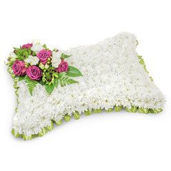Meticulously crafted by a local hands-on florist in the Brent Cross area, this rectangular floral pillow is a serene memorial piece built from a carpet of immaculate white chrysanthemums that together create a plush, cushion-like surface. The dense mass of small white blooms reads as a single, soothing field - cool to the eye and faintly fragrant - evoking purity and the idea of restful sleep. Anchoring the design in the upper-left corner is an elegant cluster of deep fuchsia and magenta roses, their petals unfurling in layered spirals that suggest love and heartfelt respect. Interspersed among them are slender sprays of white freesias, their delicate buds and subtle scent introducing brightness and tenderness. Behind the spray, a spray of fresh greenery, including delicate fern fronds and glossy leafy stems, gives the cluster depth and a natural frame. A light green satin ribbon trims the pillow's perimeter in a neat pleated or looped finish, the ribbon's soft luster adding a ceremonial edge that gently separates the white top from the base. Photographed on a crisp white backdrop with a soft shadow beneath, every contour and texture is visible - the chrysanthemum's tactile fluff, the roses' velvet, the freesias' fragility. Available for thoughtful delivery around Brent Cross, Golders Green and Hendon, this traditional sympathy pillow is a dignified floral expression of comfort and remembrance - a way to honour a loved one when families gather to reflect and grieve.