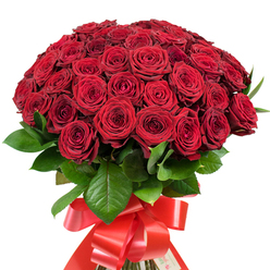 Against a crisp white background, this opulent bouquet assembled in Brent Cross captures the dramatic richness of about fifty vibrant red roses, their petals layered like delicate silk and glowing with the warmth of a classic love story. Each flower is carefully selected for pristine form and fullness, with some roses opening wide to reveal their intricate, petal-filled centres and others just beginning to unfurl. Deep, glossy green foliage is interspersed throughout, grounding the bold reds with calming, natural accents reminiscent of local gardens tucked along Claremont Road. The intricate bouquet is tied at the base with a broad, ruby-red satin ribbon, expertly crafted into an ornate bow whose sweeping tails lend a flourish fit for significant life moments. The soft daylight, echoing the mellow afternoons in Brent Cross parks, plays across the petals, shifting their hue from vivid ruby to sultry wine. Radiating romance, this arrangement is the quintessential bouquet for declarations of love, meaningful anniversaries, or milestone celebrations within the Brent Cross area-each detail a testament to seasoned local florists who understand how to convey sentiment through floral artistry.