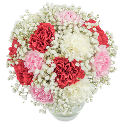 Nestled in a crystal-clear, rounded vase, this bouquet epitomises the thoughtful craftsmanship synonymous with Brent Cross Flowers. The arrangement blooms with an affective mix of deep scarlet, pale rose, and creamy white carnations, their signature ruffled petals forming dense, velvety clusters. Wisps of white gypsophila weave through the blossoms, lending a delicate, starlit softness that tempers the bold hues and creates an ethereal halo around the flowers. Illuminated by natural daylight, the vibrant colours are set aglow, recalling the dynamic energy of busy Brent Cross streets and markets. The vase's bottom reveals a tidy gathering of stems in fresh water-a hallmark of local florists' quality. This elegant bouquet speaks to occasions of heartfelt appreciation and joy, perfect for gifting on Mother's Day, Valentine's, or a special birthday within the Brent Cross and Hendon area. Every curve and colour in this arrangement seems to celebrate cherished connections, imbuing spaces with the warmth and refinement familiar to North London homes.