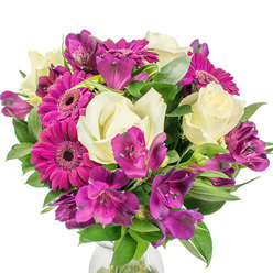 Against a simple white studio background a dense, round bouquet commands attention with a confident palette of magenta, cream, and deep purple. Several large magenta Gerbera daisies form the visual anchors-each one with a ring of compact petals radiating toward a darker, intricate centre-while creamy white roses offer a softer counterpart, their velvety petals curling inward in a classical, romantic gesture. Threaded throughout are clusters of purple Alstroemeria, their delicate trumpets and faint speckling introducing small, lively patterns that catch the eye on close inspection. Rich, varied greenery supports the bouquet, from broad glossy leaves that frame the blossoms to thinner, sword-like foliage that adds vertical structure and a sense of movement. The arrangement sits in a clear glass vase hinted at along the bottom edge, reflecting a sliver of light that anchors the composition on the white backdrop; the overall effect is fresh, professional, and full-bodied. In Brent Cross this is the sort of cheerful, expertly balanced design we prepare for anniversaries, thank-you gestures, or to brighten a flat near the shopping centre or a home close to Clitterhouse Park. At Brent Cross Flowers we choose stems for lasting freshness and arrange them so the scent and texture are as pleasing as the colour harmony. The bouquet's joyful magenta and calming cream pair well with modern interiors or relaxed country florals, conveying affection and celebration without being overly formal.