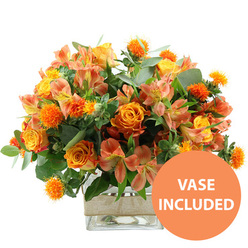 Against a bright white background, this vibrant floral arrangement radiates the warm, easy cheer of a sunny afternoon in Brent Cross, translated into petals and leaves. The central blooms are rich orange roses, some with a subtle wash of yellow glowing from their centres, opening in generous swirls that feel both luxurious and inviting. Around them, clear yellow garden roses nestle closely, their neatly packed petals forming rounded, cushiony blossoms that echo the shape of classic English roses. Threading through the bouquet are alstroemeria in soft peach and light orange shades, each delicate flower marked with fine stripes and freckles of reddish brown along the inner petals, adding a sense of movement and detail. Small, spherical, spiky orange flowers-thistle- or safflower-like in appearance-peek out between the larger blooms, their bristly texture catching the light and adding visual contrast. A mix of lush greenery frames and supports the arrangement: silvery eucalyptus leaves with a satin-like surface curve outward, while darker, glossy green foliage fills in the background, making the warm colours stand out more vividly. The entire composition is arranged in a clear, square glass vase, revealing the bundled stems and clear water, enhancing the feeling of freshness you would expect from a same-day delivery around Brent Cross and nearby Hendon. Around the middle of the vase, a trim of natural burlap or jute is wrapped snugly, introducing a rustic accent that softens the crisp shape of the glass. In the bottom right corner of the image, a circular orange icon with bold white lettering states VASE INCLUDED, clearly indicating that this is a complete, ready-to-display gift. The mood of the arrangement is joyful and welcoming, ideal for celebrating milestones, sending congratulations, or simply lighting up a living room near the North Circular.