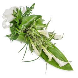 This elongated, hand-tied tribute is captured against a pristine white backdrop and composed with deliberate, linear grace - a design that leads the eye diagonally from the top-left to the lower-right. Multiple creamy white Calla Lilies take centre stage, their trumpet-shaped blooms elegantly curved and finished with a soft, satiny sheen that reads of purity and calm. The lilies are supported by broad, deep green, glossy leaves that act as a structural frame; one large leaf forms a prominent dark backdrop on the lower right while another is folded and tucked at the upper left, creating sculptural volume. Interspersed variegated leaves with white and pale-green stripes breathe light through the centre, while delicate fern fronds and slender, grass-like blades weave fine texture and movement among the heavier foliage. Small clusters of pale green, frothy sprigs sit between the main elements to soften edges and add a hand-crafted, natural feel. A woven, cream-coloured ribbon bow-linen or burlap in appearance-crowns the upper corner, its tactile loops mirroring the lilies' curves. The bouquet suggests a fragrant, verdant note of fresh green stems and cool petal skin; it reads as contemporary, respectful, and quietly elegant. Brent Cross Flowers crafts pieces like this for services and special remembrances across Brent Cross, Cricklewood and nearby Gladstone Park, and we can tailor the scale for weddings, funeral tributes, or understated venue décor.