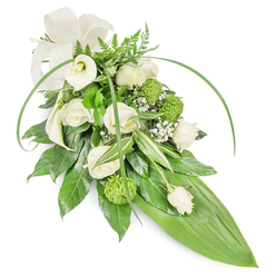 Presented against a clean white backdrop, this elongated floral sheaf is an exercise in understated grace, a composition of whites and vivid greens meant to convey solace and respect. Several creamy white roses form the central harmony, their layered petals catching soft studio light and suggesting a gentle, comforting fragrance. Two elegant white Calla lilies with their trumpet silhouettes tilt slightly upward at the upper left, offering a sculpted purity that contrasts beautifully with the rounder rose forms. Pops of lime-green button chrysanthemums - compact and textured like tiny green orbs - create playful visual punctuation without disturbing the arrangement's solemn calm. Feathery sprays of baby's breath weave through the blooms, lending breathy lightness and a sense of delicate presence. The foliage work is deliberate and textural: deep, glossy leaves create a substantial, verdant foundation; variegated leaves introduce pale stripes that catch light differently; and soft fern fronds add an airy top note. Two long, slender blades of bright green foliage arch across the surface, suggesting movement and a contemporary silhouette, while the composition narrows to a broad, smooth, bright green leaf that forms a sleek pointed base. A tasteful cream ribbon bow at the top-left finishes the piece with a quiet formality. As a local florist from Brent Cross might explain to a bereaved family near Hendon Lane or Clitterhouse Road, this spray balances tradition with clean modern lines - an arrangement that reads as peaceful, respectful, and carefully crafted for memorial use.