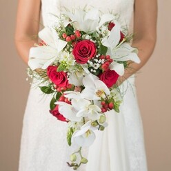 Soft morning light bathes a Brent Cross bride as she stands with elegance, holding an elaborate cascading wedding bouquet close to her bodice. Her lace-adorned white gown and bare arms frame a luminous arrangement alive with the artistry and freshness known to local florists. The bouquet's teardrop shape flows with star-bright white lilies, their sumptuous petals curling outward, and phalaenopsis orchids that trail gracefully downward, evoking a gentle waterfall effect. Amidst the white blooms, rich red roses unfold velvety layers, their colour both classic and bold-emblematic of romance and the heartfelt gatherings that animate Brent Cross's streets. Interspaced red hypericum berries provide vivid dots of festive cheer, complemented by wispy sprays of baby's breath and tiny white filler flowers that introduce a sense of joyful lightness. Foliage in varying textures and greens-from soft ferns to deeper, structured leaves-renders the bouquet both organic and refined, reminiscent of landscaped greenery found near Brent Reservoir. Some spiky green accents add subtle dimension, while a softly blurred beige background ensures the bouquet's dramatic form remains the heart of the composition. Crafted by caring hands for celebrations in Brent Cross, this bouquet blends sophistication and warmth, embodying the dreams that fill North West London weddings.