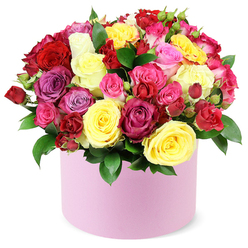 This radiant hatbox arrangement turns roses into a chorus of celebration. Bright yellow blooms mingle with regal purples and playful pinks, while the heart-warming reds lend classic romance. The texture is rich, each rose unfurling in ruffled layers that invite the fingertips to linger. Placed in a smooth pastel pink container, the bouquet gains a modern twist-a stylish nod to contemporary floral artistry found at Brent Cross Flowers. The design balances careful structure with inviting softness, a bouquet that feels like a promise of happiness you can hold. Picture it brightening a Brent Cross living room or greeting guests along Cricklewood Broadway, with same-day delivery available across Brent Cross, Cricklewood, and Hendon. The fragrance is delicate yet sweet, a warm hug of rose that greets you as you enter the room. This piece makes a thoughtful birthday surprise, anniversary gesture, or just a splendid way to say you care. Crafted by experienced hands at Brent Cross Flowers, it embodies care, artistry, and joyous spirit, ready to travel quickly to recipients nearby. The arrangement's generous scale and fearless color play capture the energy of a local market day and bring that sense of community into any home. With its refined composition and accessible charm, this bouquet celebrates love, friendship, and everyday cheer, delivering not just flowers but a moment of bright, shared happiness.