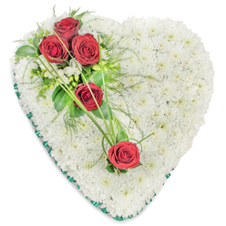 This image features a refined heart-shaped funeral arrangement, crafted with the precision and sensitivity of an experienced Brent Cross florist. The heart itself is fully covered with a dense mass of small white chrysanthemums, each bloom placed snugly against the next until the surface becomes a smooth, plush expanse of white. The petals catch the light softly, creating a gentle sheen that feels calm and consoling, like a quiet pause for reflection. Against this pure background, a diagonal spray of five deep red roses provides a powerful focal point. Three roses sit prominently at the upper left curve of the heart, their velvety petals unfolding in rich, crimson layers, while two more roses are positioned lower down and to the right, continuing the visual line. Around the roses, a mixture of dark green foliage, glossy leaves, and airy, fern-like stems introduces texture and depth. Long, fine strands of bright green ornamental grass sweep gracefully across the heart, connecting the roses and carving a subtle arc across the white chrysanthemums, almost like a handwritten signature of remembrance. Small white filler blooms, likely freesias or a similar delicate flower, nestle discreetly among the greenery, bridging the contrast between red and green while echoing the white base. The heart's outer perimeter is framed with a rich green satin ribbon, pleated neatly to form a tidy, slightly ruffled edge that defines the shape with elegance. Set against a plain white background, the colours appear especially vivid. This style of tribute is often chosen for funerals and memorials around Brent Cross, from local churches to crematoriums further along the North Circular, as a graceful expression of sympathy, respect, and lasting love.