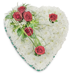 This heart-shaped floral tribute is composed entirely of tightly set white chrysanthemums, forming a soft, cushion-like base whose tiny petals capture light like fresh snowfall. The arrangement is photographed against a stark white background so every textural detail is visible: the dense chrysanthemum heads, the subtle play of shadow across their domes, and the careful splice of colour where five deep red roses are placed. A thoughtful cluster of three roses sits on the upper left, cradled by rich green ruscus leaves and airy fern fronds; two solitary roses balance the composition - one near the top-right curve and another toward the pointed base - each accented by slender, arching blades of green that lend an organic rhythm to the form. Small white filler blooms and whispering tendrils soften the transitions between red and white, while an emerald-green satin ribbon neatly edges the heart, offering a formal, memorial frame. There is a quiet scent implied - the faint, classic perfume of roses mingling with the clean, green notes of foliage - and an expert hand is evident in every curve and spacing. This piece reads as a compassionate, traditional gesture of condolence, appropriate for a funeral chapel or a memorial table. For those in Brent Cross, Cricklewood and surrounding Hendon neighbourhoods, it conveys steady comfort, crafted with local care and an understanding of the gentle tone required at a time of loss.