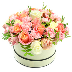 Imagine a densely packed dome of fresh flowers resting in a low, round hatbox: the container is a pale cream with a soft matte surface, neatly accented by slim dark bands circling the top rim and the base, a subtle graphic touch that frames the blossoms within. The composition is dominated by large garden-style roses whose centres glow with coral-peach and apricot tones graduating outward into soft blush pinks and clean ivory edges, each bloom at a different stage of opening to create movement and depth. Interspersed throughout are delicate sprays of light-pink carnations - their ruffled, feather-like petals fill negative space and introduce a tactile softness against the smoother rose petals. Small sprigs of vibrant green foliage with narrow leaves peek through the massed flowers, bringing a cool freshness and visual relief while hinting at a gentle, leafy scent. The image's bright white background and gentle, diffuse lighting accentuate the colour transitions and the intricate layering of petals, making the bouquet feel luminous and intimate. This arrangement reads as both celebratory and quietly romantic - ideal for marking milestones like birthdays, anniversaries, or a thoughtful 'congratulations' - and its plush texture and restrained palette make it equally suited to a bedside table or as a standing gift for someone who appreciates classic, refined floral styling.