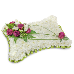 A tranquil sympathy pillow fashioned from a dense bed of pristine white chrysanthemums forms the base of this tender tribute, each small floret packed close to create a cloudlike, reassuring surface. Resting gently atop that white field is an elegant cluster of dusky pink roses-soft, muted magenta tones that open like gentle breaths-paired with creamy lisianthus blossoms that add a hint of delicate ruffled texture and a faint, sweet perfume. Wisps of feathery fern and glossy green foliage cradle the blooms, providing a vibrant backdrop and a feeling of shelter. Around the perimeter a pastel green satin ribbon is carefully folded into a scalloped trim, giving the pillow a refined, finished edge that reads as both respectful and comforting. Three slender stems of dark green bear grass arch across the pillow, their graceful curves drawing the eye from the floral cluster toward the opposite corner and lending quiet movement to the composition. A solitary dusky pink rose mirrors the main grouping and is placed to balance the design, nestled among small emerald leaves. The lighting is soft and even, catching the subtle sheen of petals and ribbon and suggesting the gentle hush of a chapel or a morning service near Brent Cross Shopping Centre and the quieter streets off Hendon Way. Prepared with the care of an experienced local florist, this sympathy cushion-available for local delivery from Brent Cross Flowers to surrounding communities such as Cricklewood and Golders Green-reads as a peaceful, handwritten condolence in floral form, meant to honour memory and offer solace.