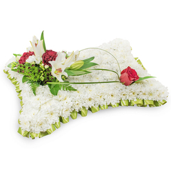 This rectangular pillow of flowers, set against a plain white background, is a traditional sympathy piece that reads as both tactile comfort and quiet elegance. The surface is a dense field of small white chrysanthemums, their crisp petals packed so closely they form a uniform, velvety blanket-soft to the eye, like folded linens laid over a memory. A narrow pleated trim of pale lime-green satin ribbon encircles the base, its subtle sheen and frilled edge bringing a refined softness that lifts the arrangement without intruding. At the upper left a composed cluster creates the story: two white Oriental lilies stand open, showing yellow stamens and a gentle trumpet shape, accompanied by an unopened lily bud and clusters of dark burgundy spray carnations that add shadowed warmth and texture. Mixed foliage-fine, feathery fern segments and broader, glossy green leaves-frames these blooms and gives the cluster a lush, living backdrop. Arching from that focal cluster, a slender, looping strand of salal or decorative wire extends across the chrysanthemum field to the right and ends in a single deep red rosebud, just beginning to open, offering a poignant counterpoint to the white cushion. The composition reads serene and reverent, the colours and forms chosen to evoke purity, respect and lasting affection. Designed with local care for services around Brent Cross and nearby Hendon, this pillow is the kind of sympathy tribute families ask for when they want something classical yet quietly personal.