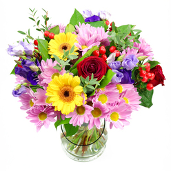This mixed-colour bouquet, standing tall in a simple clear glass vase against a bright white backdrop, looks like a carefully choreographed duet of warmth and elegance. Rich red roses form the emotional centre, their tightly layered, velvety petals giving the arrangement a classic, heartfelt tone, much like the intimate celebrations that unfold in homes around Brent Cross. Just offset from them, two bright yellow gerbera daisies with deep brown-orange centres provide a burst of sunshine energy, their large, symmetrical petals lifting the whole palette. Encircling these key blooms, a generous ring of soft pink chrysanthemums spreads outward, each daisy-like flower with numerous fine petals and tiny yellow cores, adding both volume and a gentle blush of colour. Interwoven through this cushioned base, stems of purple and lavender lisianthus arc gracefully, some buds still curled, others opening into delicate bell-shaped flowers with slightly frilled edges, adding a whisper of cool sophistication. Among the petals sit small clusters of smooth, rounded red hypericum berries, their glossy surfaces catching light and giving a contemporary touch. A variety of green foliage skirts and punctuates the arrangement - darker, broader leaves lending structure and lighter, airy sprigs offering softness - giving the bouquet a fresh, just-arranged feel, as if it has been prepared moments ago in a Brent Cross Flowers studio off the North Circular. The clear vase reveals neatly aligned stems and clean water, grounding the abundance above with simple, honest floristry. The mood is one of cheerful celebration and thoughtful generosity, ideal for birthdays, new-home wishes, or as a striking centrepiece for a family gathering near Brent Cross Shopping Centre.