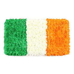 As I arrange this flag-inspired tribute, a sense of pride and solemnity fills the Brent Cross studio. The dense layering of green, white, and orange blooms forms crisp, unwavering lines that echo a national banner. The green stripe reads like a plush carpet of tiny blossoms, the white center glows softly with tightly packed petals, and the orange edge radiates warmth with countless small blooms. Each bloom is chosen for uniformity and vibrancy, and the texture is inviting to the touch. This piece feels more than a floral display; it is a living symbol of identity, unity, and heritage crafted with care. The scent is fresh and delicate, a cool undernote of petals that lingers as light plays across the surface. Designed for commemorations, remembrance, or moments of quiet reflection, it speaks to the community of Brent Cross and nearby neighbourhoods such as Cricklewood, Hendon, and Golders Green, where occasions like St Patrick's Day invite thoughtful, handmade tributes. Created by Brent Cross Flowers, the arrangement demonstrates the florist's commitment to meaning and craft, offering same-day delivery across the area to ensure this living flag arrives fresh and ready to be shared with family and friends across Brent Cross and NW London.