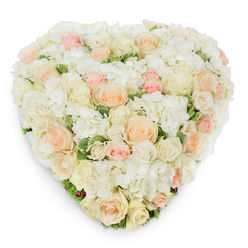 Viewed from slightly above against a spotless white field, this heart-shaped arrangement presents a tapestry of tender pastels and pure whites that feels both intimate and formally composed. Densely clustered roses form the primary rhythm-sizes varying from compact buds to sweeping open blooms in radiant white, creamy ivory, whisper-light peach, and soft blush pink-each positioned with deliberate care to create a gentle gradient across the heart. Nestled between the roses are generous mounds of white hydrangea, their clustered florets offering a plush, cloud-like counterpoint to the smooth, spiraled rose petals. Sprigs of deep green, subtly variegated foliage emerge at intervals, adding a cool freshness and visual punctuation that prevents the palette from feeling too saccharine. Photographed with soft, overhead lighting, the arrangement casts a faint, rounded shadow that underscores its volume and handcrafted structure. As a florist might note, the texture moves from velvety rose faces to the papery, layered hydrangea clusters, evoking both tactile softness and visual richness. The overall atmosphere is one of calm compassion-appropriate for a sympathy tribute or a quietly romantic gesture-and the carefully chosen colours read as a message of gentle consolation and enduring affection. This timeless composition is commonly requested by families and couples across Brent Cross and the surrounding neighbourhoods like Cricklewood and Golders Green, appreciated for its balance of luxury and restraint, and for the soothing presence it brings to both celebratory and solemn moments.
