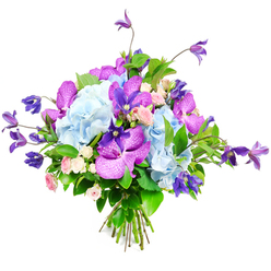 Against a clear, bright white background, this bouquet appears almost sculptural, a carefully balanced composition that could easily be imagined waiting on the counter of a florist near Brent Cross station. The central focus is on voluminous hydrangea heads in soft, sky-blue tones, their countless tiny petals forming rounded clusters that look plush and cushiony, bringing a calm, cloud-like quality to the arrangement. Tucked and threaded through these hydrangeas are striking orchids in intense fuchsia and deep violet, their broad petals decorated with subtle speckles and fine veining that add exotic interest and an air of refined luxury reminiscent of high-end displays inside Brent Cross Shopping Centre. Stretching upward and outward, graceful stems of purple clematis add height, rhythm, and a whisper of wildness, their star and bell shapes giving the bouquet a light, airy outline while still feeling elegant and controlled. Between these prominent blooms, miniature roses in shades of soft pink and creamy white introduce a classic, romantic note, their layered petals unfolding gradually to reveal gentle colour and a sense of intimate sentiment. The entire composition is supported and framed by a variety of lush green foliage-broad, glossy leaves providing a sturdy backdrop, while finer stems weave through to create texture and depth. At the base, neatly gathered stems are bound in a tight, professional hand-tie, ready to slip straight into a favourite vase in a home near Hendon, Cricklewood, or Temple Fortune. Bathed in even, diffused light, the bouquet's blend of blue, purple, pink, and green feels both luxurious and approachable, perfect for celebrating a special occasion or brightening an ordinary day with a touch of north London elegance.