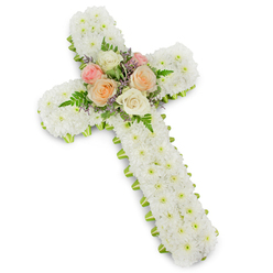 A beautifully composed sympathy cross made entirely of fresh flowers stands out clearly against a spotless white backdrop, illuminated by soft, even lighting. The cross follows the classic Christian form and is completely carpeted with tightly packed white chrysanthemum button blooms. Each small flower contributes to a thick, cushion-like surface that looks almost like soft snow, untouched and serene. From a distance, the cross presents as an unbroken expanse of white, evoking purity, spiritual calm, and the contemplative mood often felt before a funeral service in Brent Cross or along the North Circular's chapels and crematoria. At the central point where the arms intersect, a compact posy of roses gently interrupts the monochrome. Fully opened roses in gentle shades of blush pink, delicate peach, and rich ivory are clustered together so that their faces turn outward, catching the eye. Green fern fronds curl gracefully around the roses, their feathery texture adding depth, while tiny clusters of lavender or pale purple filler flowers thread between the blooms, providing a muted yet noticeable contrast. Running all around the perimeter of the cross is a slim band of lime green ribbon, only partially visible beneath the chrysanthemums. This fine line of colour outlines the cross, giving the piece a polished, carefully finished appearance. The faint drop shadow beneath the flowers suggests dimension without distraction, allowing the cross to retain its calm, reverent presence. It is the sort of floral tribute Brent Cross Flowers might design for a family saying goodbye to a loved one, offering a visual expression of faith, love, and remembrance that feels both traditional and gently contemporary.