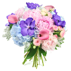 Against a clean white backdrop, this lush bouquet feels like a breath of gentle colour and fragrance, ready to be carried along the streets around Brent Cross. At the centre, large light pink peonies unfold in voluminous blooms, with layers upon layers of ruffled petals that create a soft, romantic cushion of pastel pink. Cradling them, rounded heads of powder blue hydrangeas provide a cool, cloud-like base, each tiny floret contributing to that airy, dreamy effect and softening the overall palette. Scattered intentionally throughout, deep purple Vanda orchids bring a sense of drama and refinement, their broad petals patterned with distinctive speckles that catch the eye and add an exotic, almost gemstone quality to the design. Flowing through the bouquet, sleek fuchsia pink calla lilies arc gracefully, their trumpet-shaped blooms adding both structure and a touch of vivid, modern colour that lifts the composition. Interwoven between all these larger blooms, delicate blush pink spray roses appear in dainty clusters, offering a more intricate texture and an old-fashioned charm that feels at home in leafy residential streets around Hendon and Brent Cross. A mixture of glossy dark green leaves and soft, silvery dusty miller foliage peeks out at the edges and between flowers, adding depth, cool tones, and a tactile, velvety softness. The stems are neatly tied at the base, forming a classic hand-tied finish that reveals the care and skill of an experienced florist. The mood of the bouquet is one of refined celebration and heartfelt warmth, ideal for engagements, anniversaries, or a special surprise delivered to a new home near Brent Cross station.
